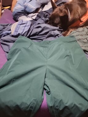 SHEIN Curve Deep Green Elastic Waist Pants